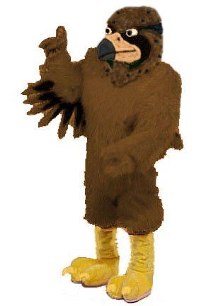 falconmascot.jpg